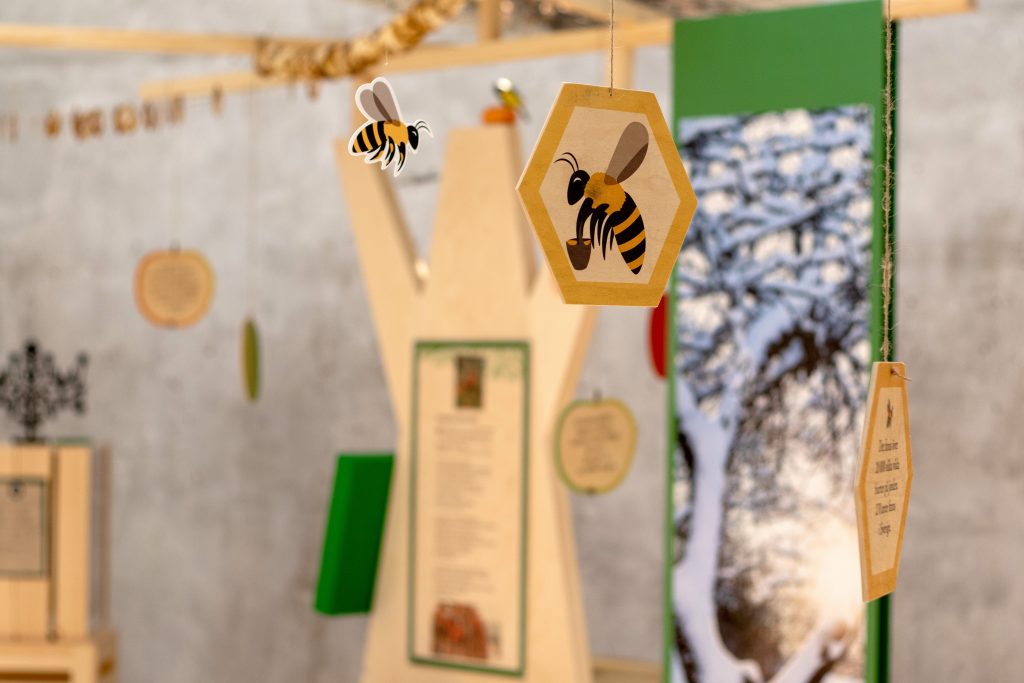 Färgfotografi. Närbild av en utställningsmiljö med hängande pappersdekorationer i form av bin och hexagoner, upphängda i trådar. I bakgrunden syns informationsskyltar och en suddig bild av ett träd.