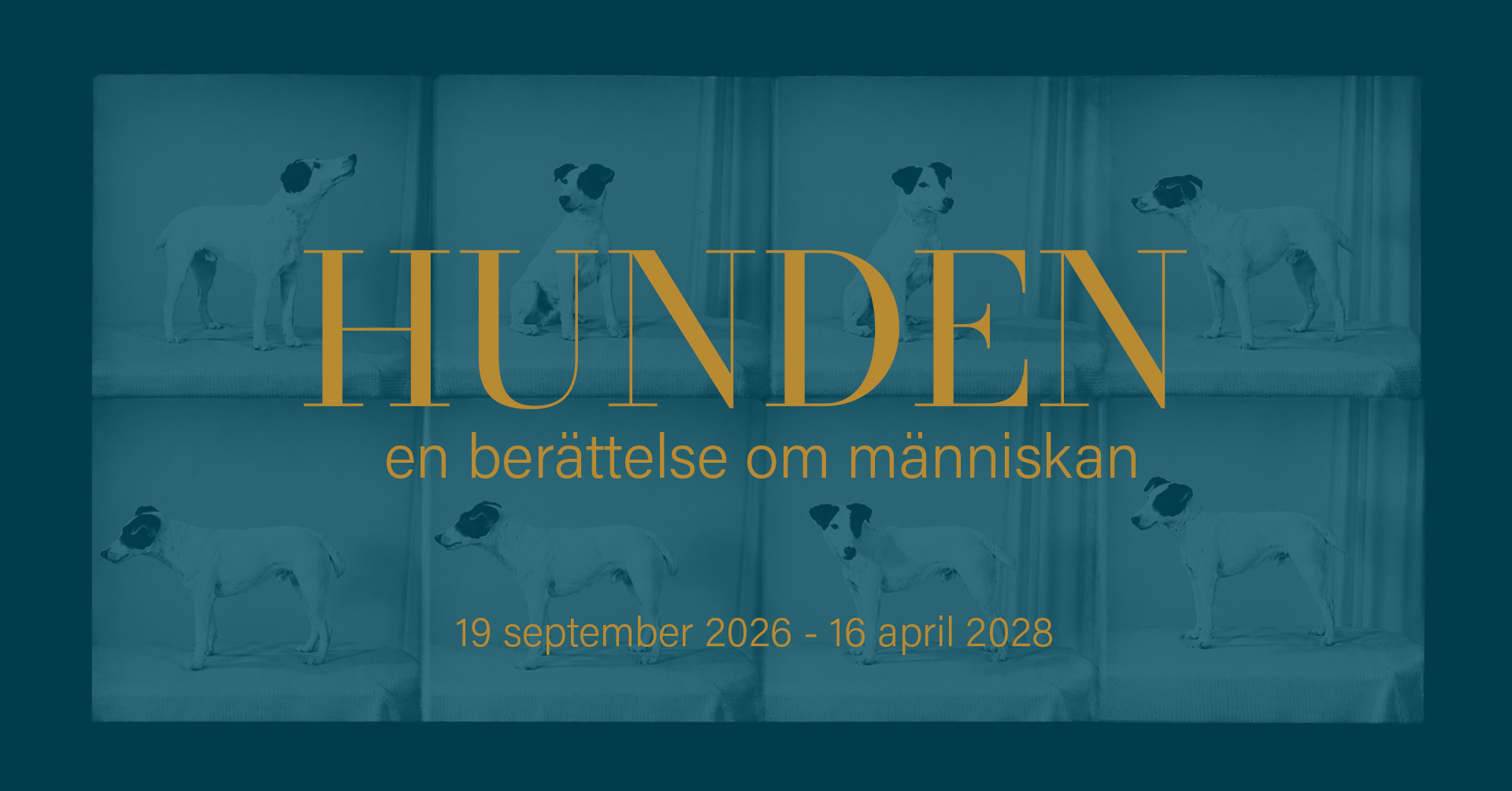 Grafisk bild i blågröna toner med åtta fotografier av en liten vit hund med mörka teckningar i olika poser. Över bilderna står titeln ”Hunden en berättelse om människan” och datumen 19 september 2026 till 16 april 2028.