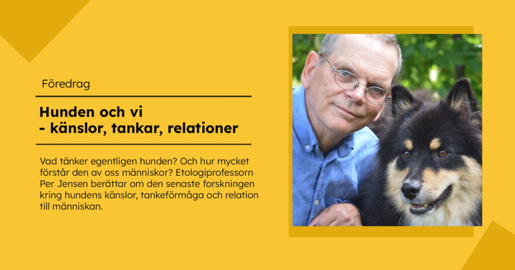 Gul bild med rubriken ”Hunden och vi – känslor, tankar, relationer” och information om ett föredrag med Per Jensen. Till höger syns en man med glasögon och blå skjorta bredvid en svart och beige hund med spetsiga öron.